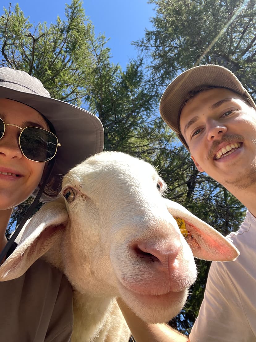 Ieva ir Matas su avimi